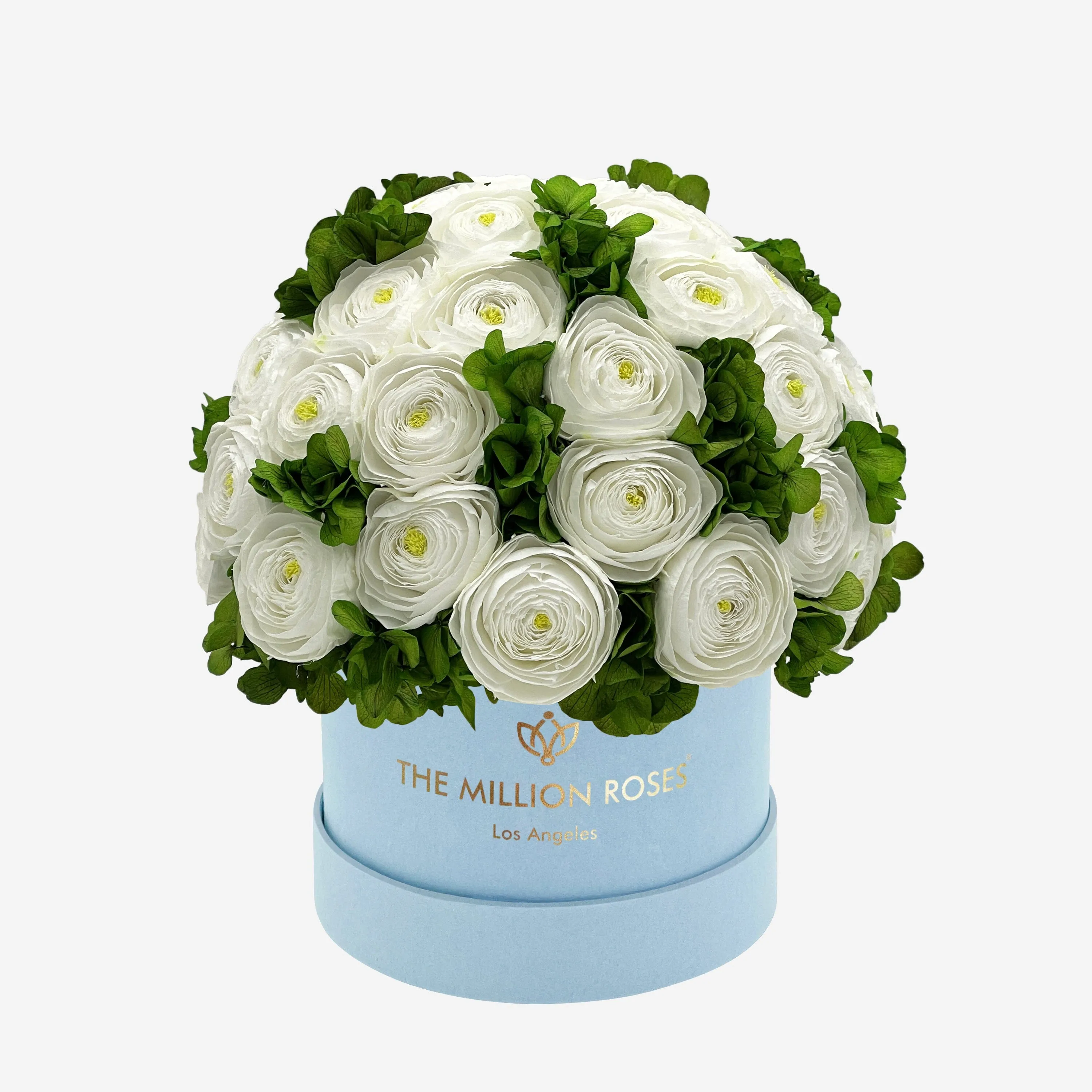 Classic Light Blue Suede Box | White Persian Buttercups & Green Hydrangeas