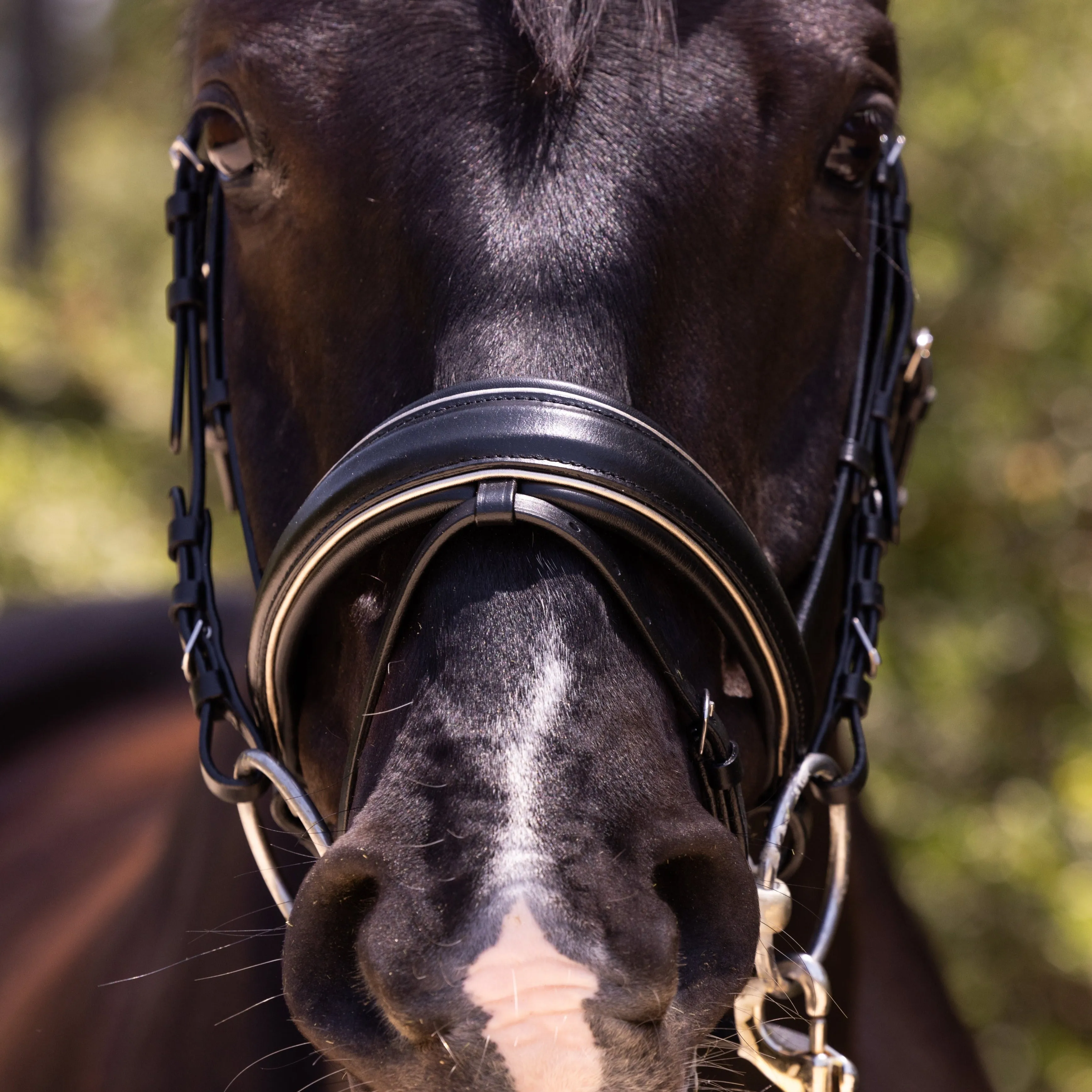 Holiday Gold Black Leather Snaffle Bridle