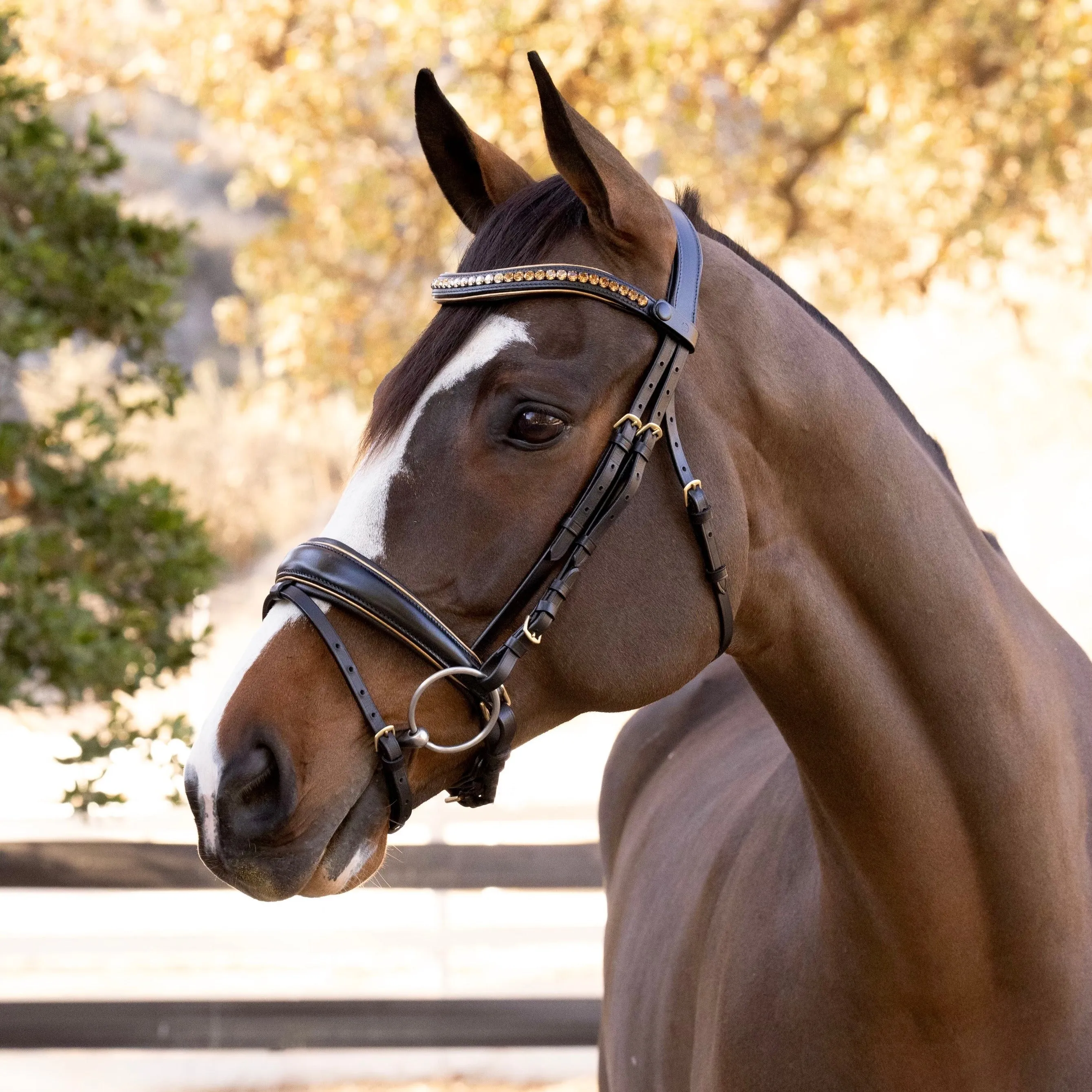 Milan - Black Leather Snaffle Bridle with Burnished Gold Piping