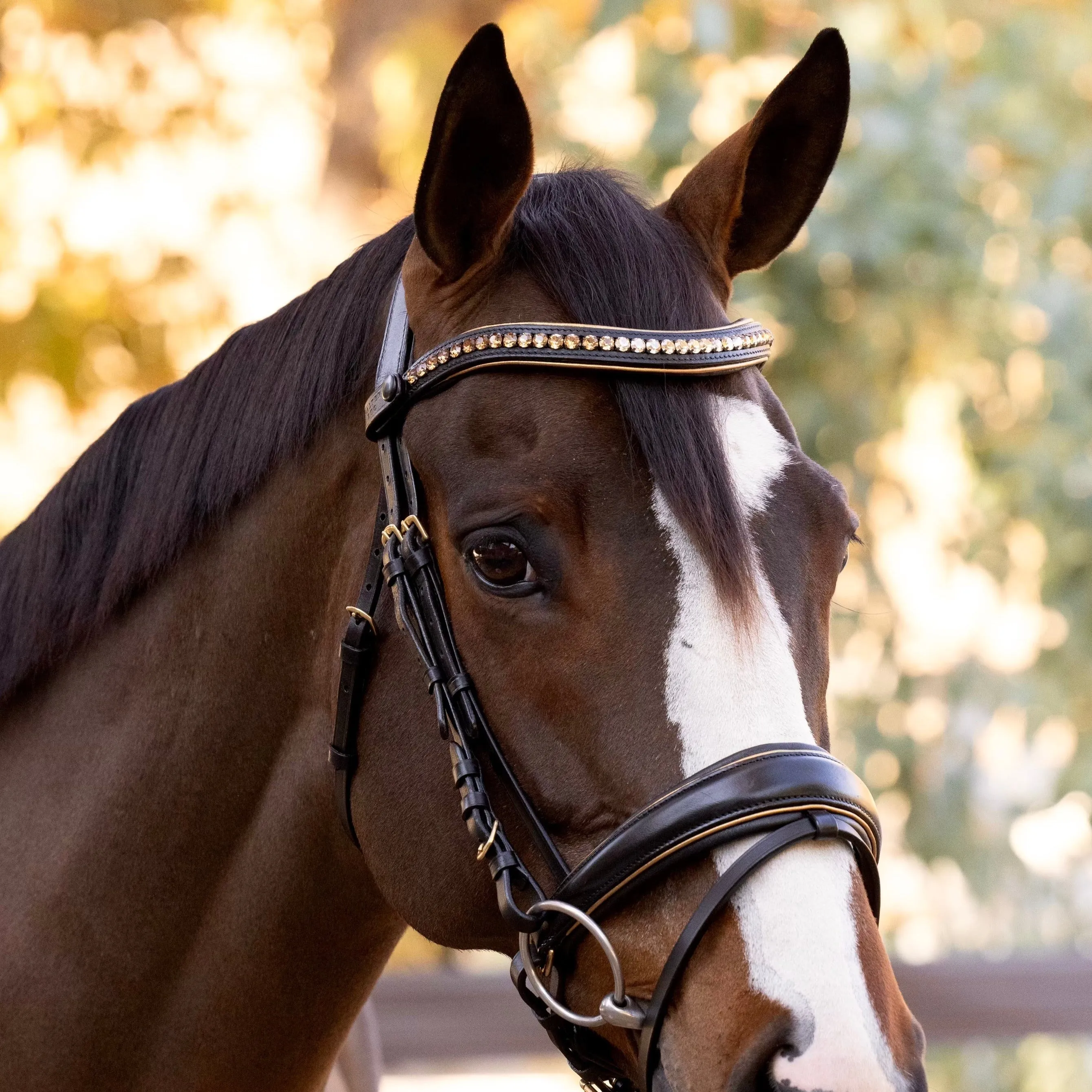 Milan - Black Leather Snaffle Bridle with Burnished Gold Piping