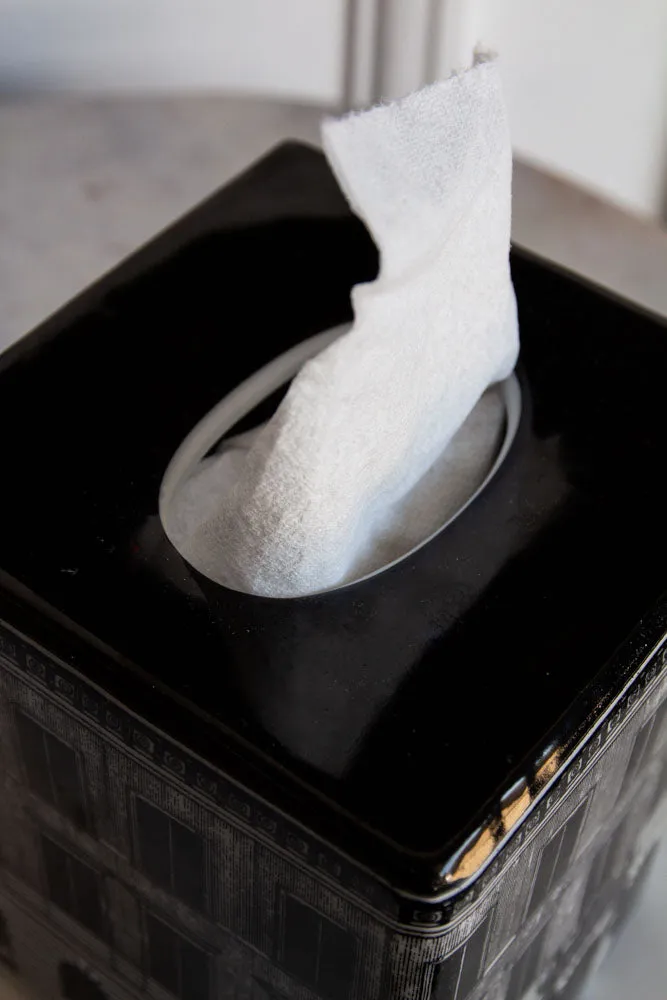 Monochrome Window Tissue Box